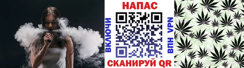 Каннабис сатива  Купить где  Туапсе 